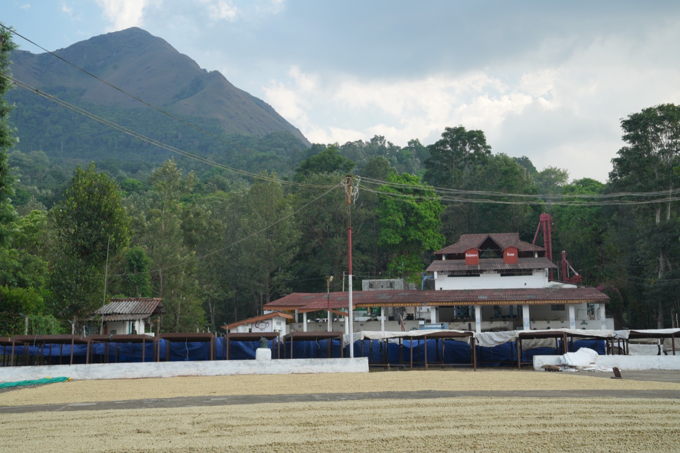 The estate buildings below a mountain, with drying beds in front at Balanoor Plantations