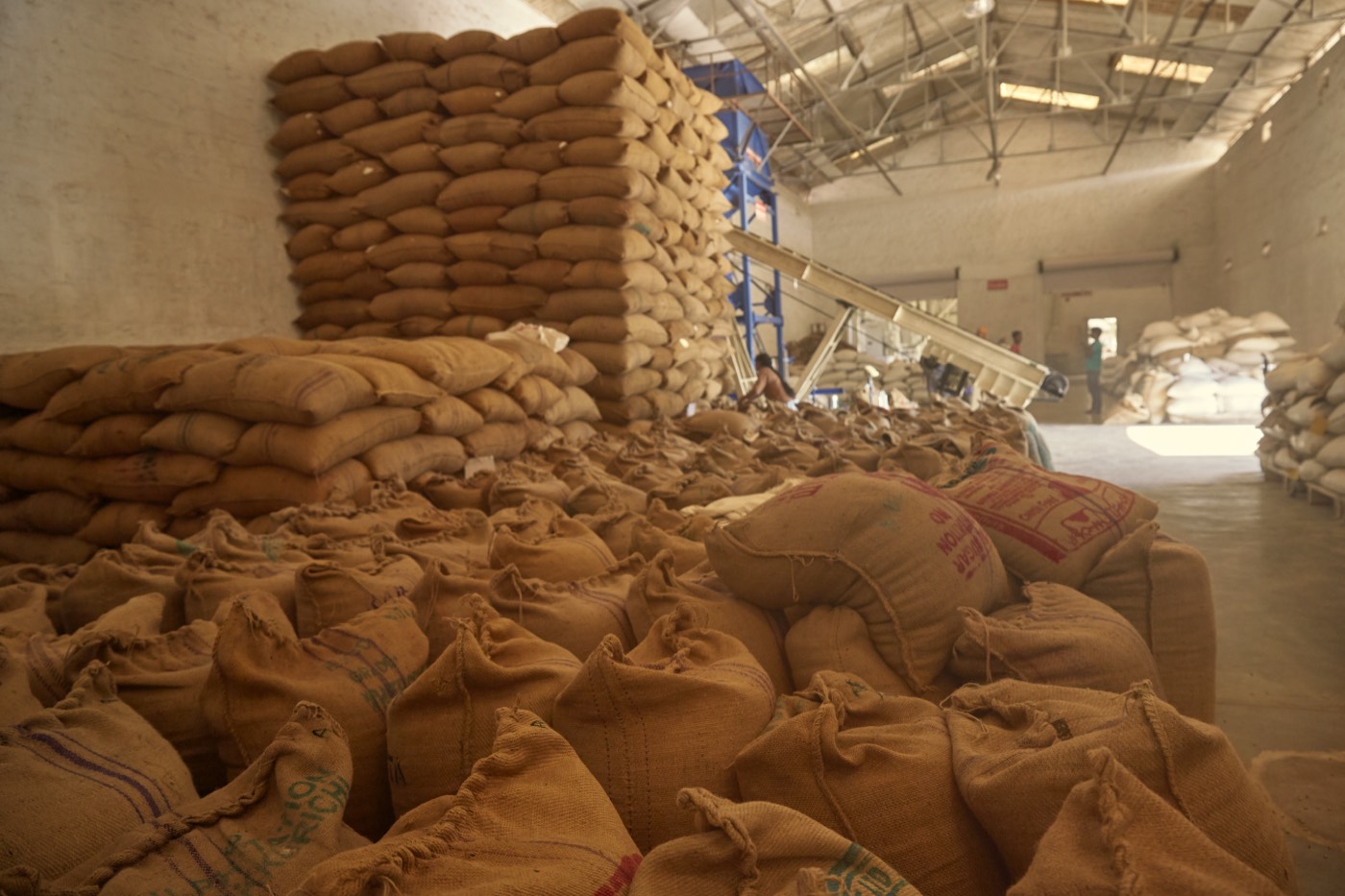 Stacks of jute sacks of coffee in a warehouse at Balanoor Plantations