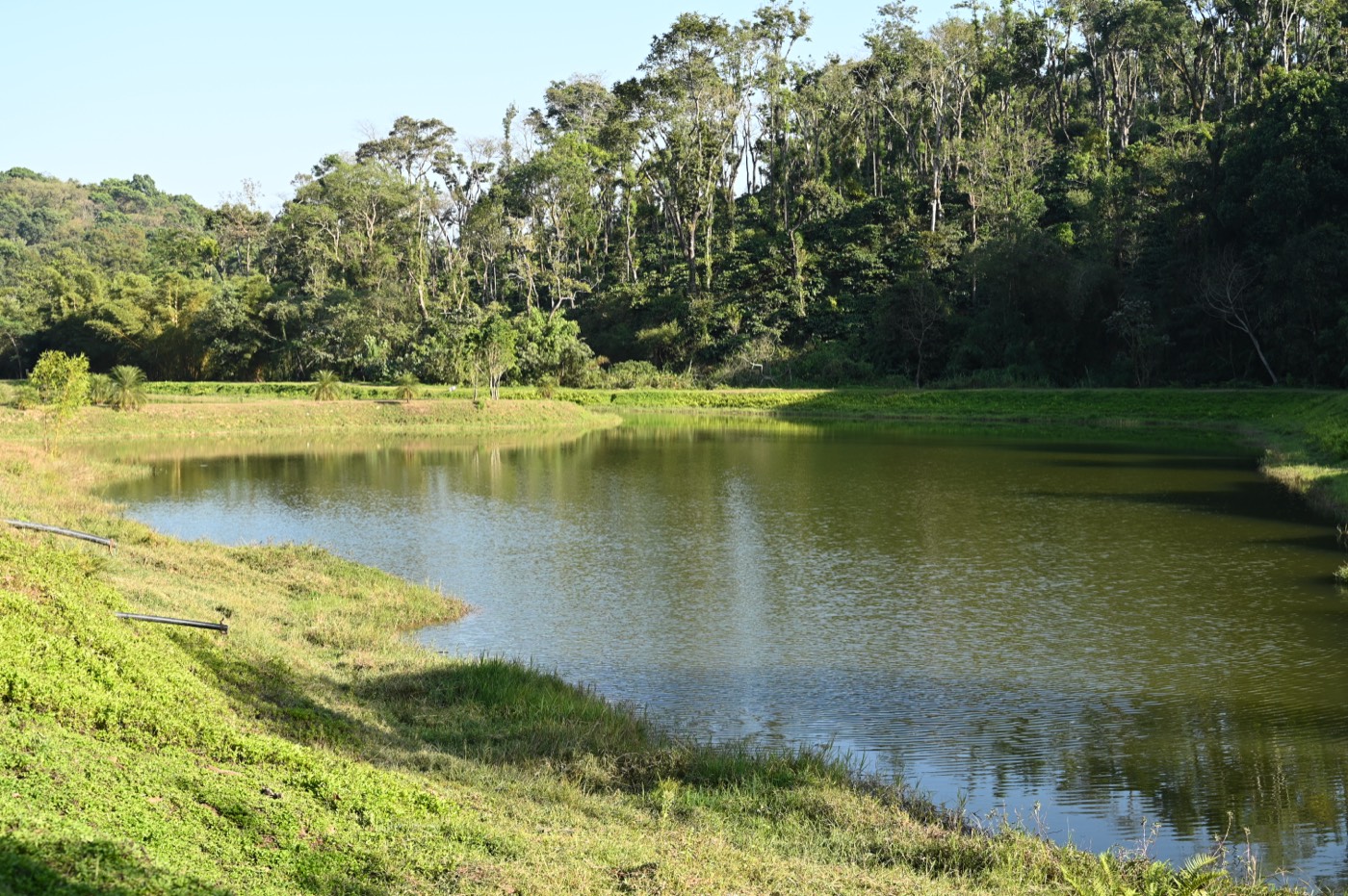 A still lake surrounded by trees at Harley Estate