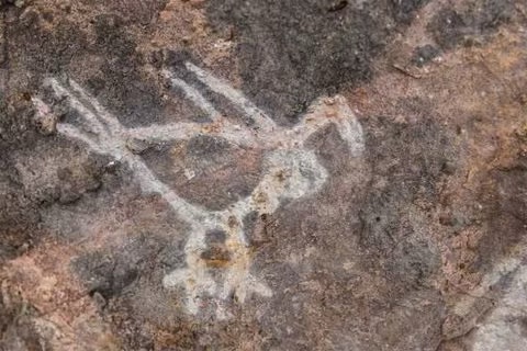 Faint rock art carving of a bird on stone