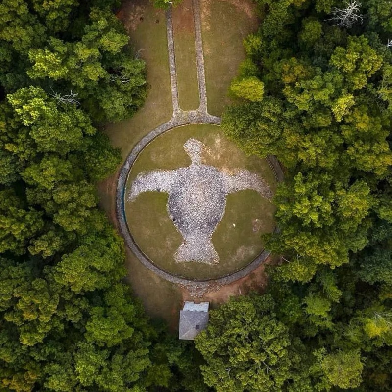 Aerial view of the Rock Hawk Effigy earthwork in Georgia, shaped like a bird