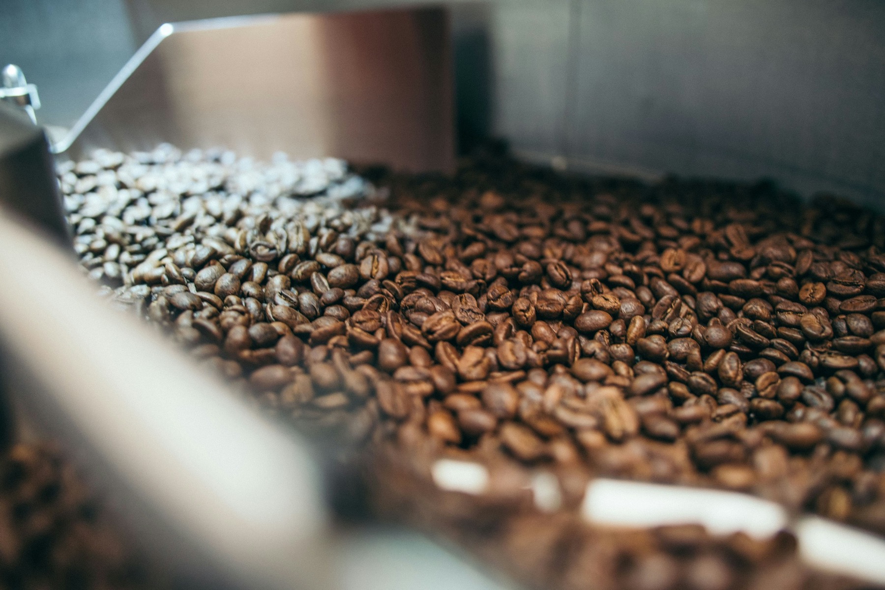 Freshly roasted coffee beans cooling after the roast
